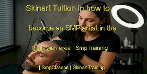 Skinart Tuition in how to become an SMP artist in the Niujiaojian area | SmpTraining | SmpClasses | SkinartTraining-China